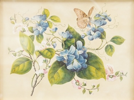 Chinese Export school, study of butterflies amongst flowering foliage, watercolour, 16 x 21cm